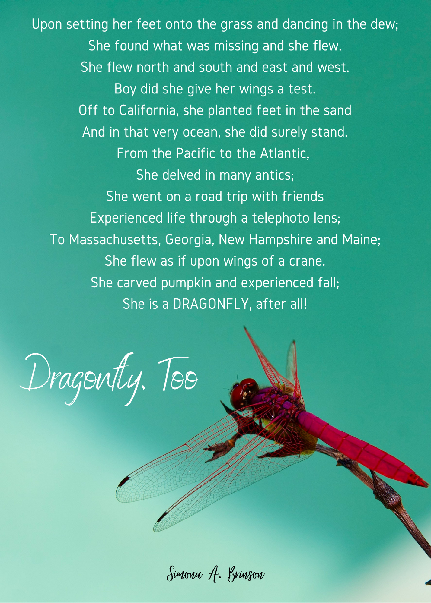 my life in word - dragonfly-too