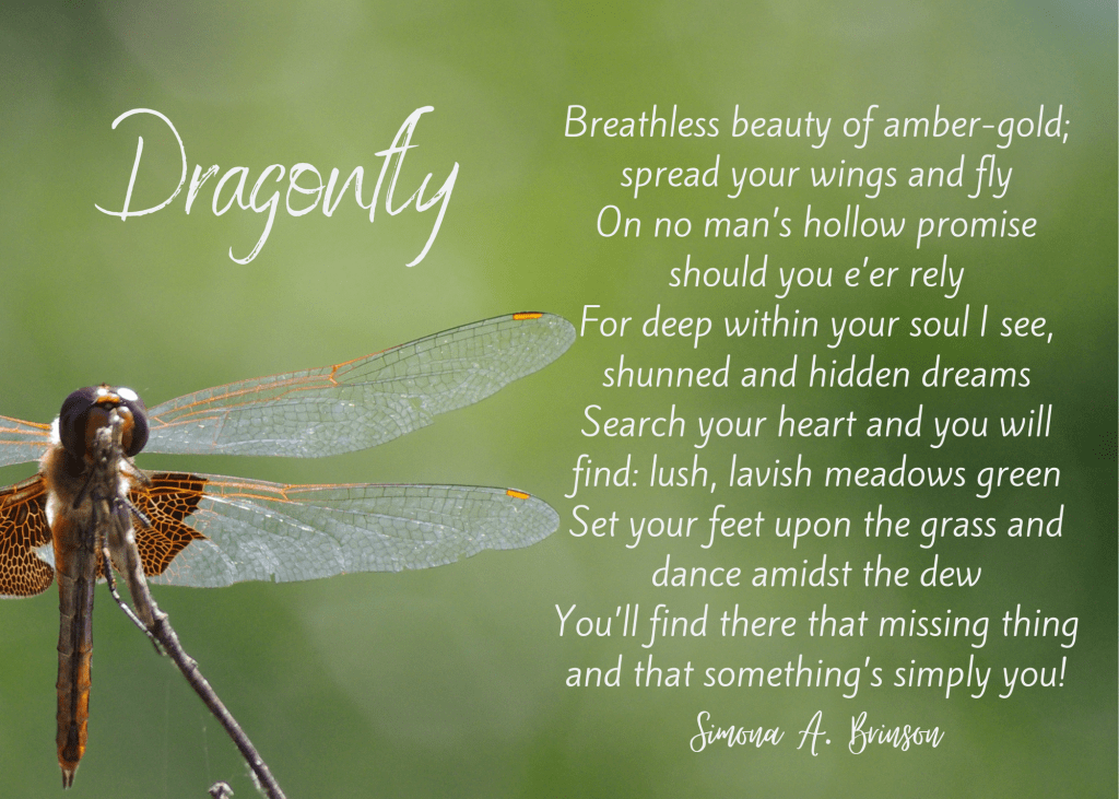 my life in word - Dragonfly