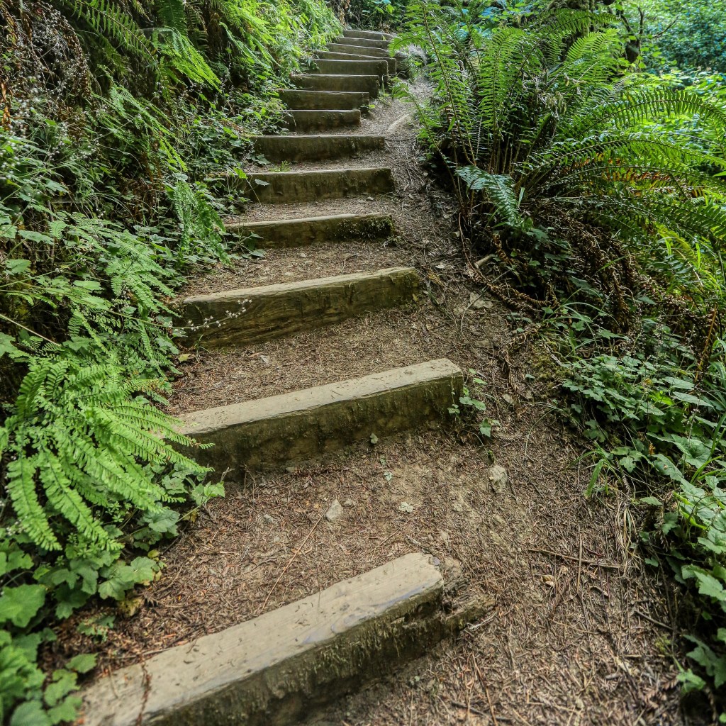 A POEM A DAY&nbsp;11