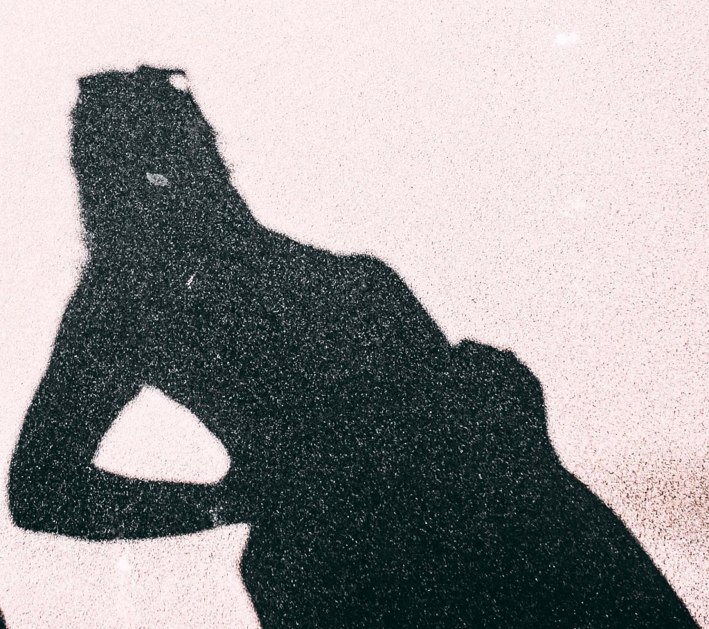 A POEM A DAY&nbsp;24