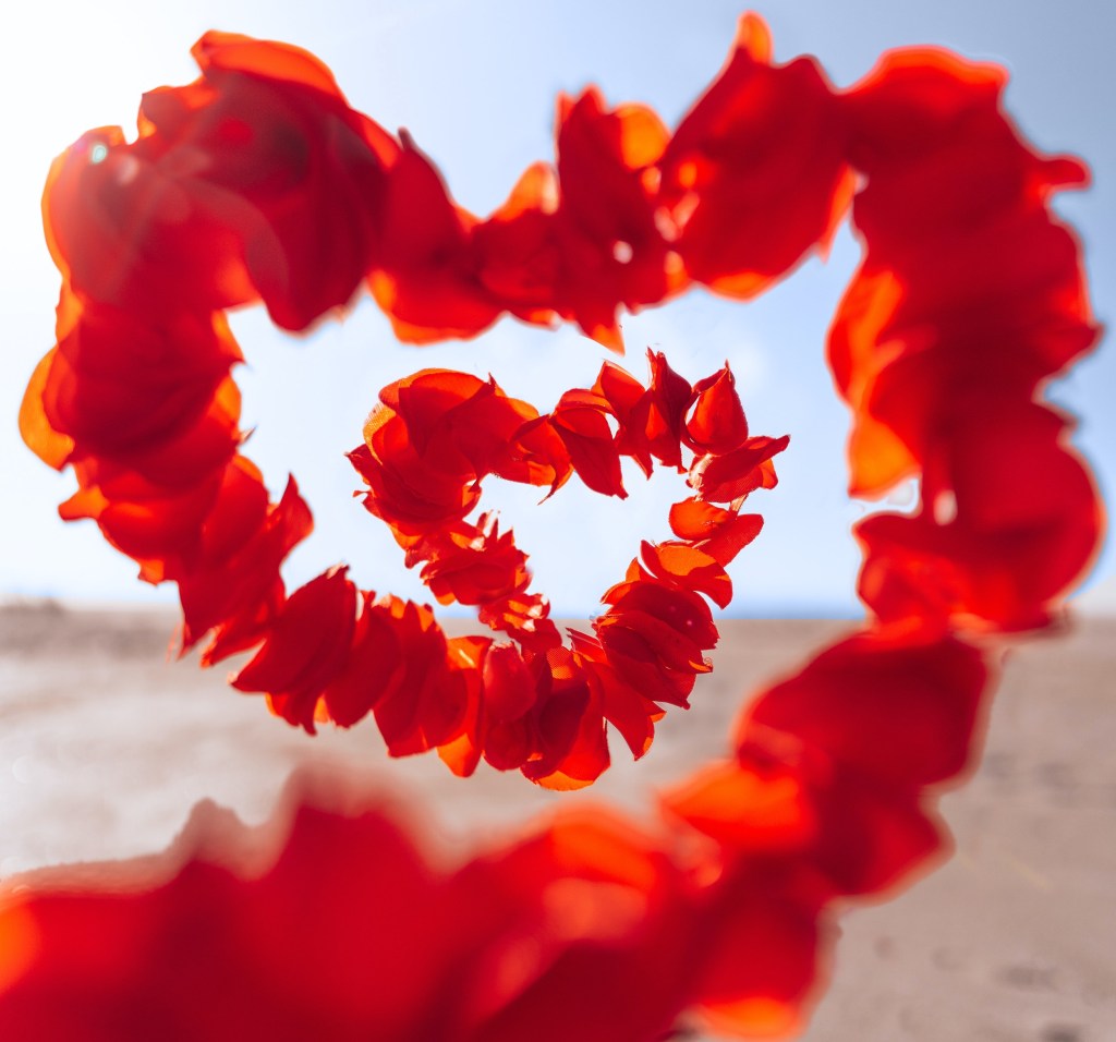 A POEM A DAY&nbsp;52