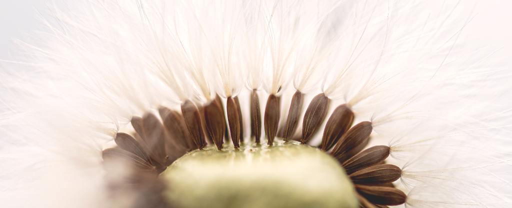 A POEM A DAY&nbsp;64