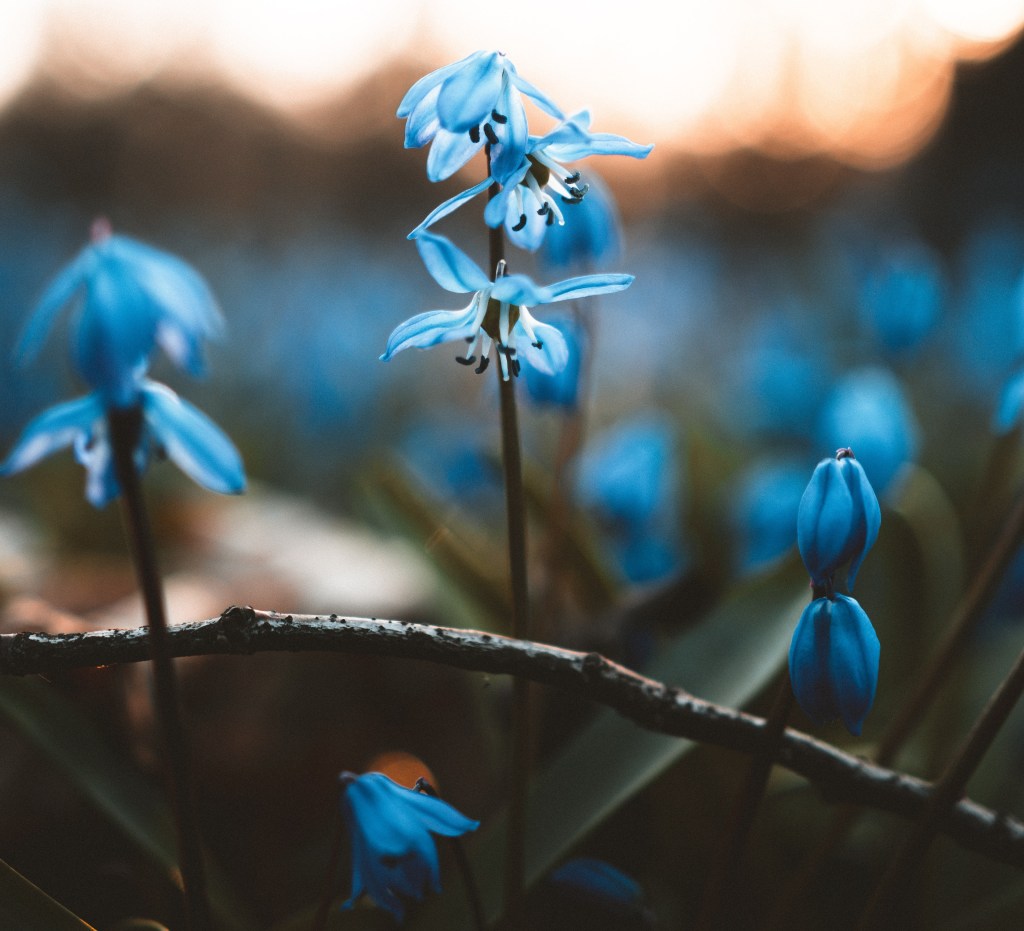 A POEM A DAY&nbsp;91