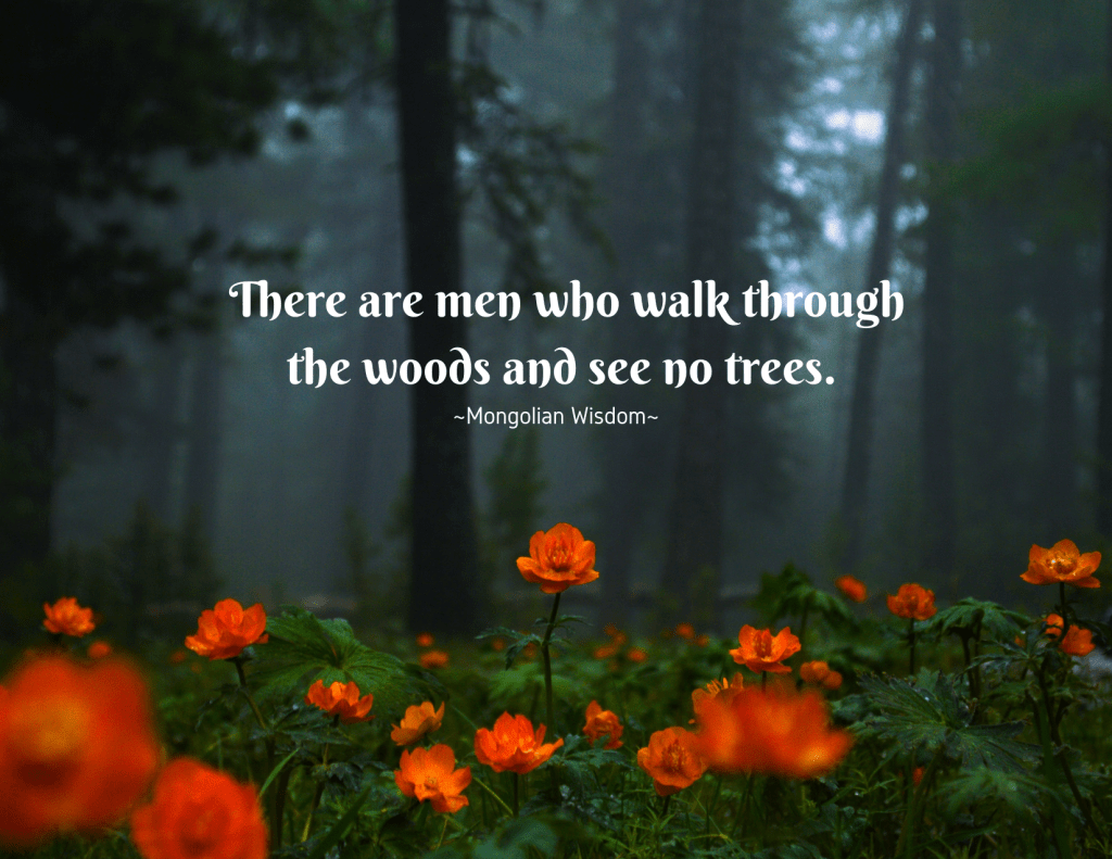 My-Life-In-Word-Words-of-Wisdom