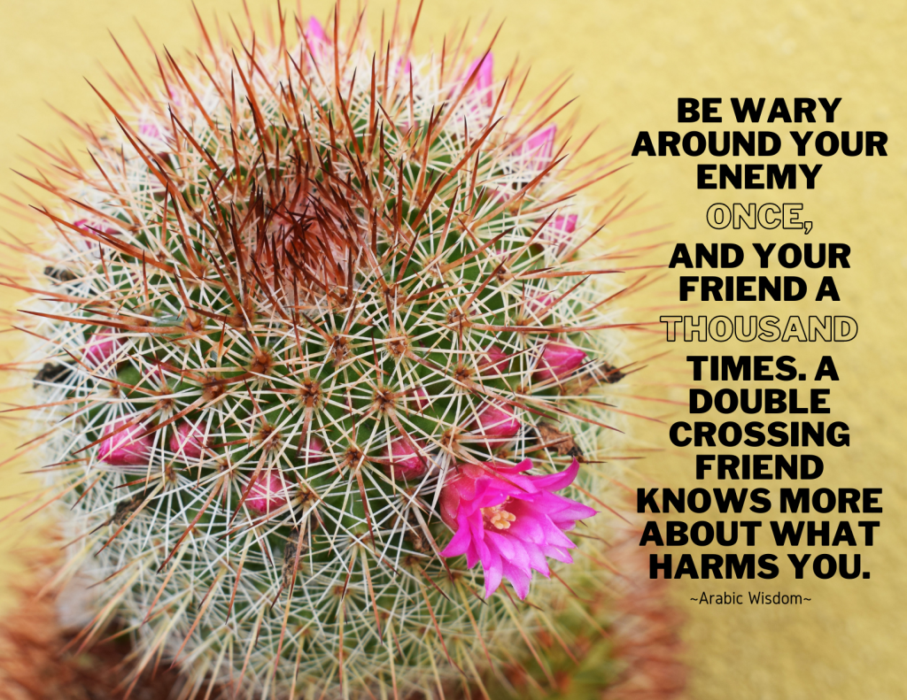 My-Life-In-Word-Words-Of-Wisdom