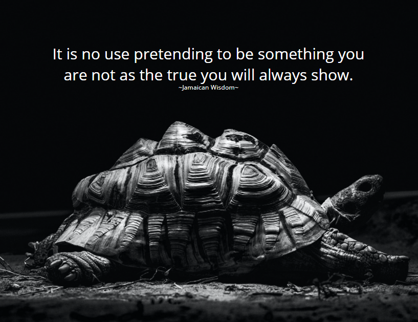 My-Life-In-Word-Words-Of-Wisdom