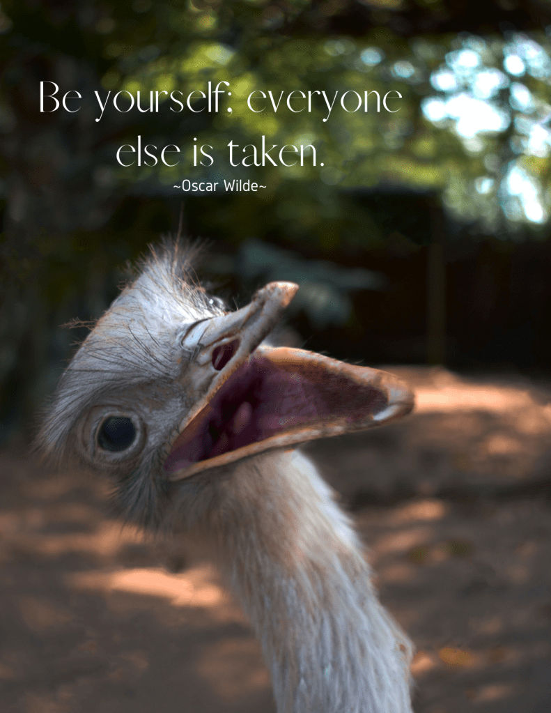 My-Life-In-Word-Words-Of-Wisdom