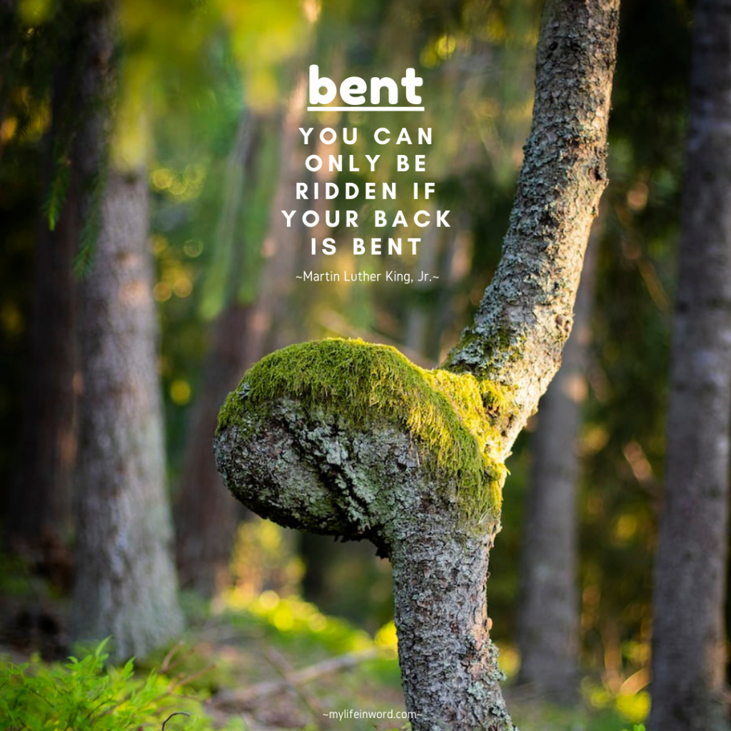 2_20230504_My-Life-In-Word-Words-Of-Wisdom-bent