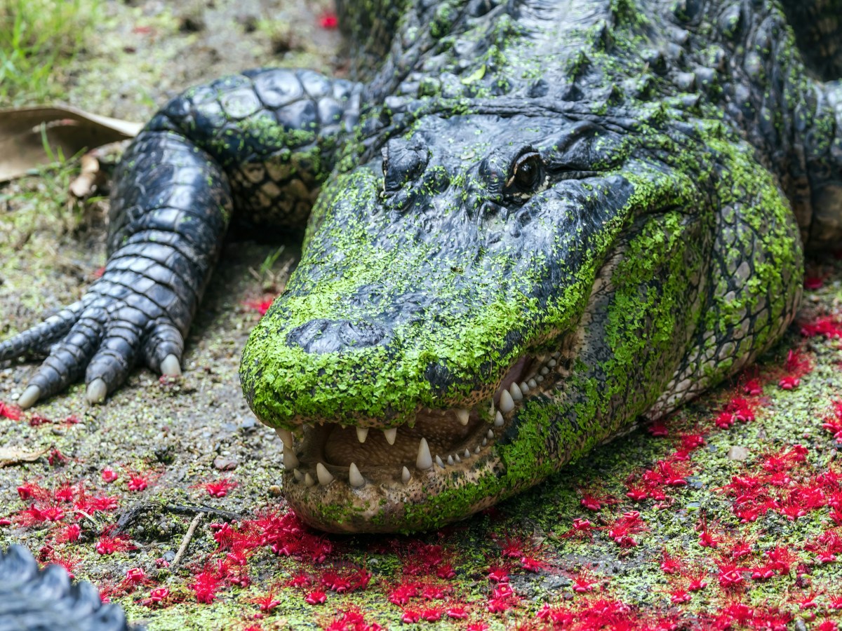 A POEM A DAY&nbsp;196