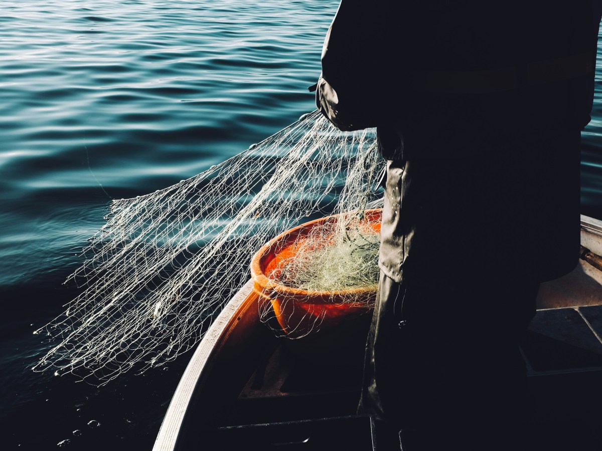 A POEM A DAY&nbsp;194