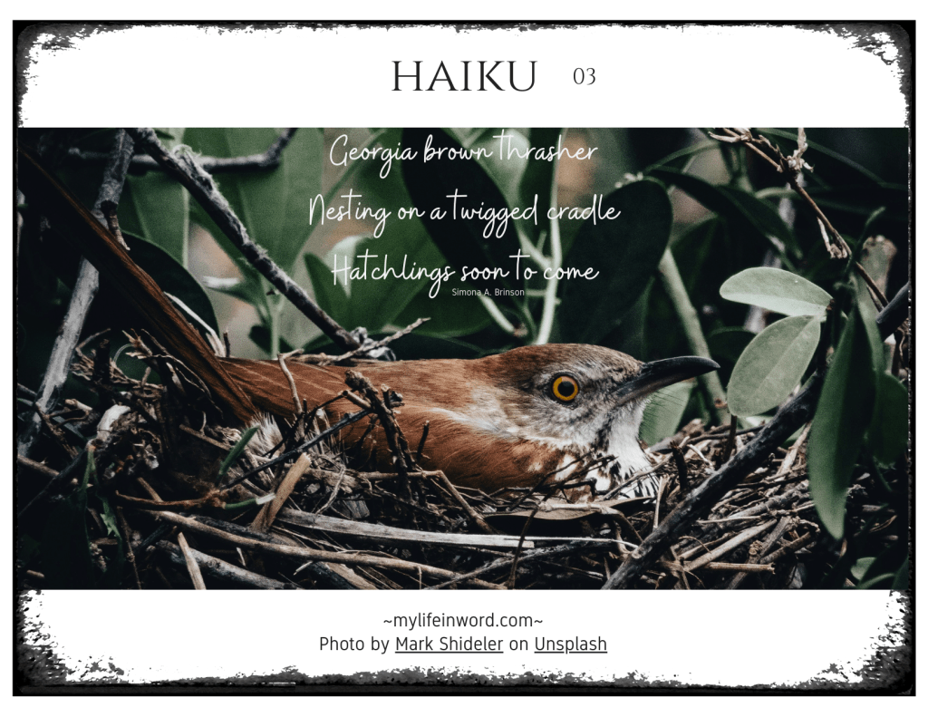 My-Life-In-Word-Haiku-03