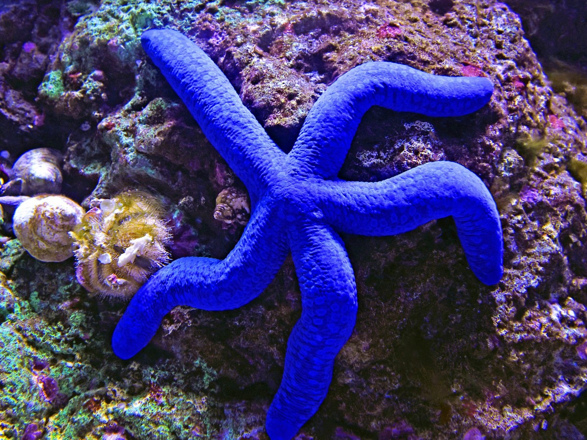 A POEM A DAY&nbsp;211