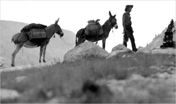 Friday Favorites: I Have Not Tired of the&nbsp;Wilderness