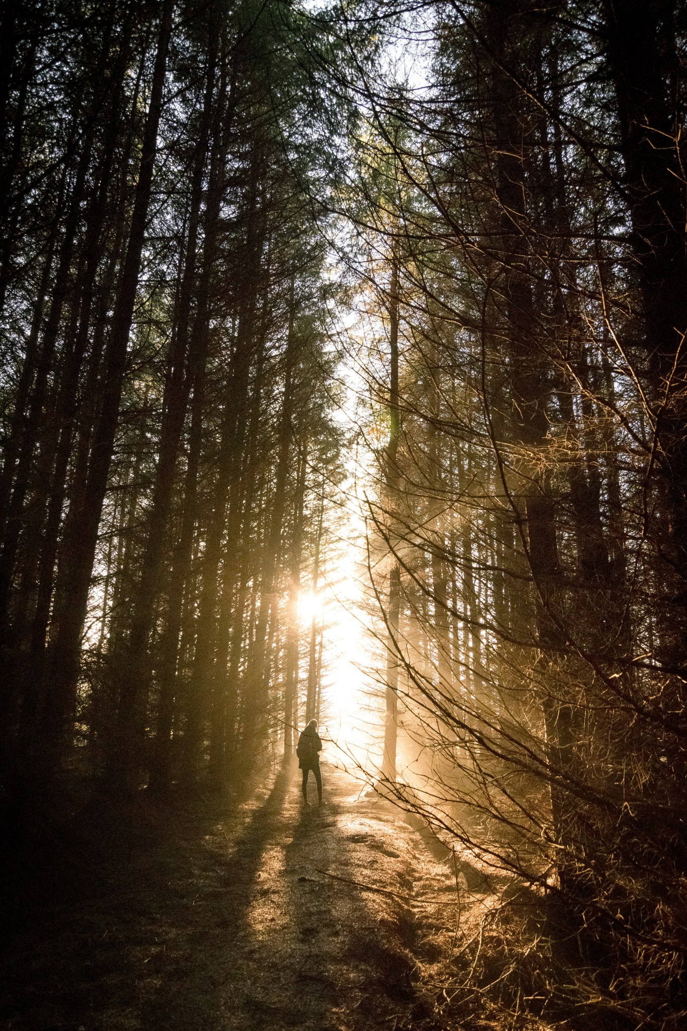 A POEM A DAY 222 - My Life In Word