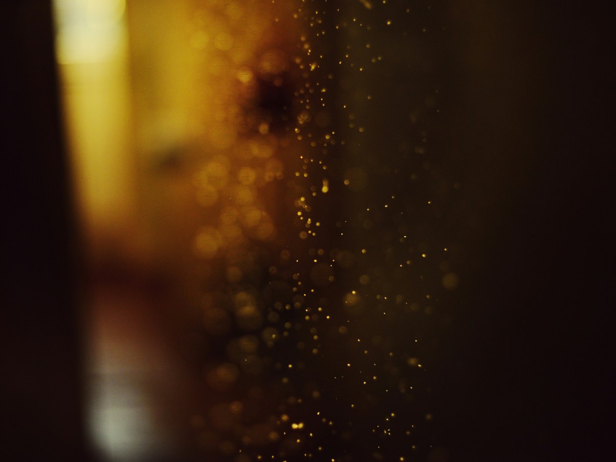 A POEM A DAY&nbsp;229