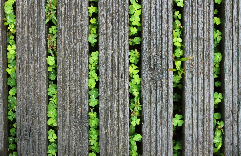A POEM A DAY&nbsp;246