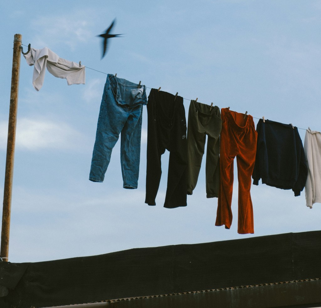 Wind in Britches