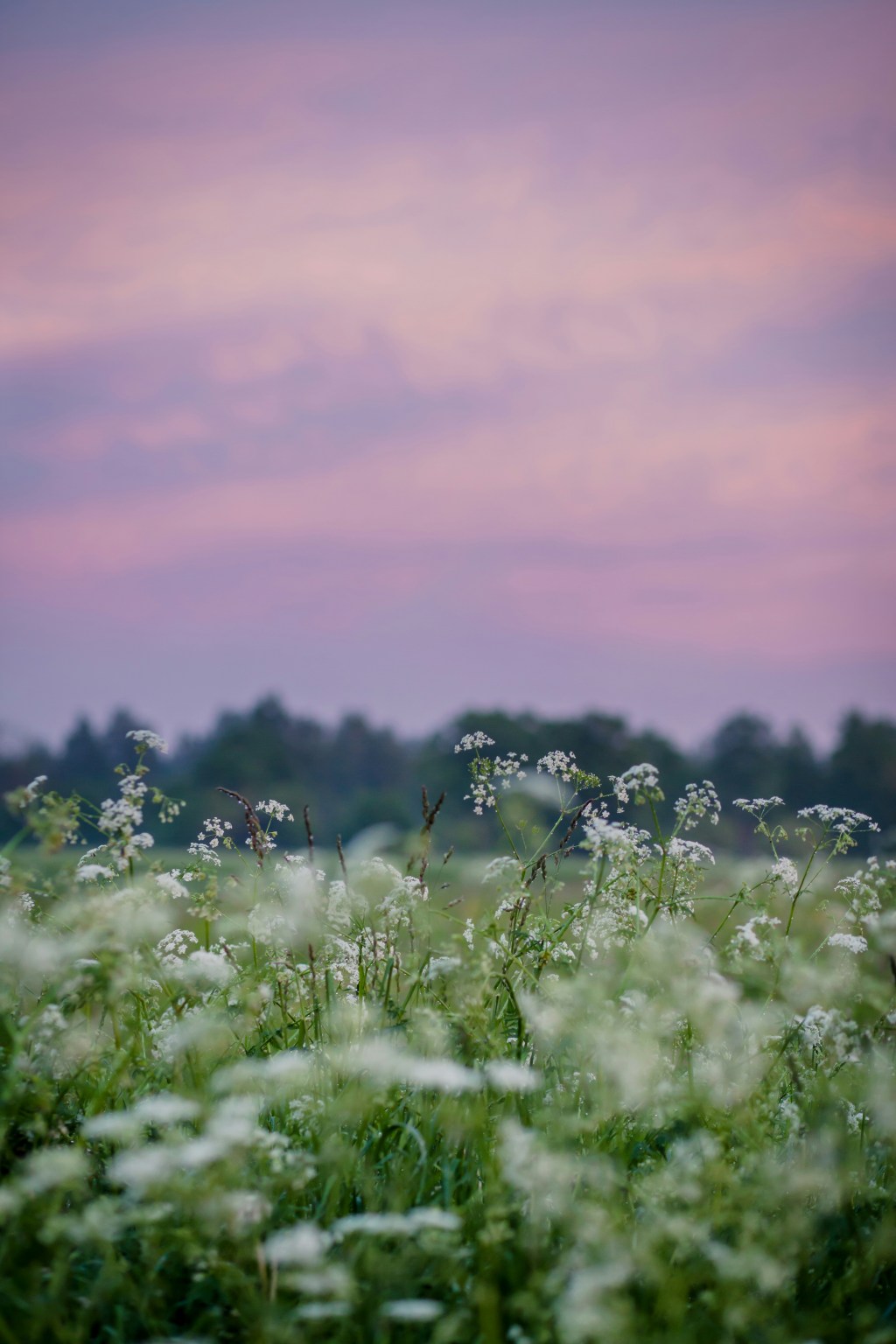 A POEM A DAY 249
