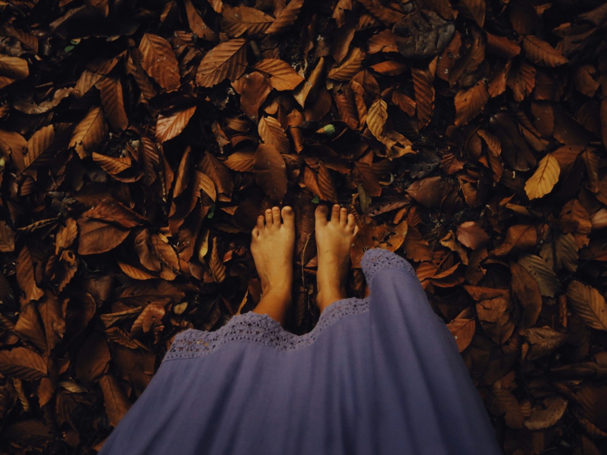 A POEM A DAY&nbsp;293