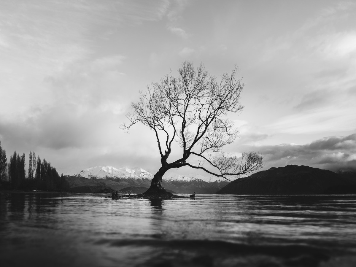 A POEM A DAY&nbsp;283