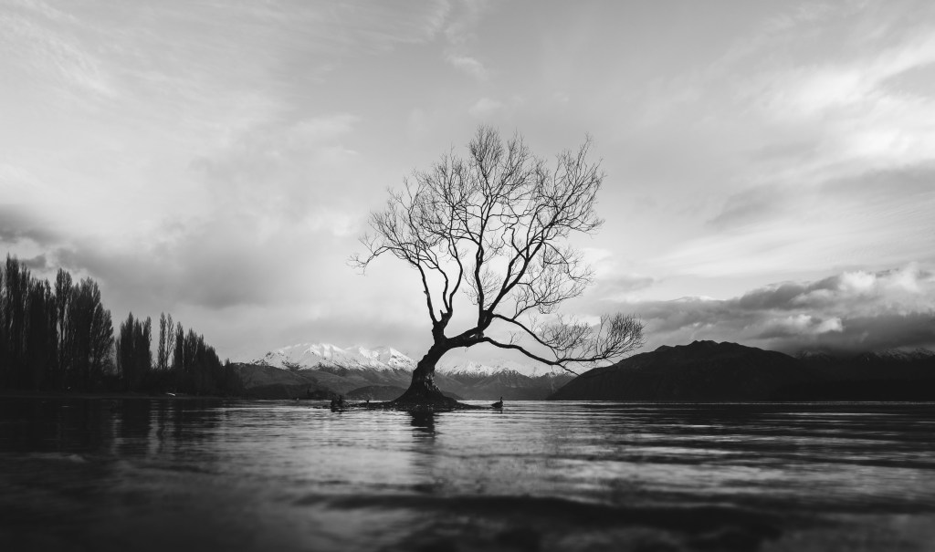 A POEM A DAY&nbsp;283